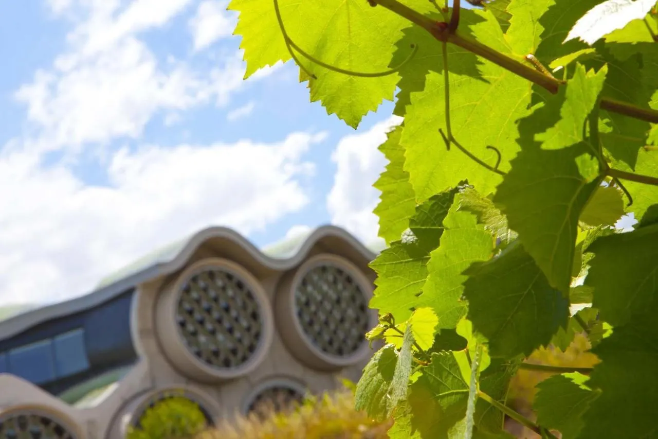 Mastinell Cava & Boutique Hotel By Olivia Hotels Collection Vilafranca del Penedès Španělsko
